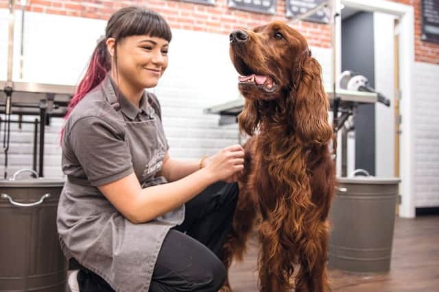 Jasmine, grooming stylist at Jollyes, is looking forward to welcoming new customers to The Spa. ANL-190521-093010001