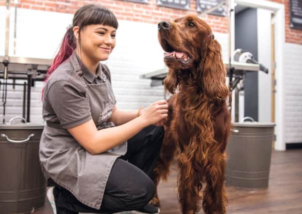 Jasmine, grooming stylist at Jollyes, is looking forward to welcoming new customers to The Spa. ANL-190521-093010001