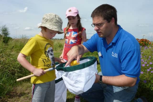 Young visitors enjoying a bug hunt. Picture: Patrick Cashman. EMN-190521-125554001