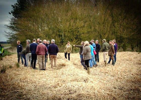 Miscanthus farm walk.