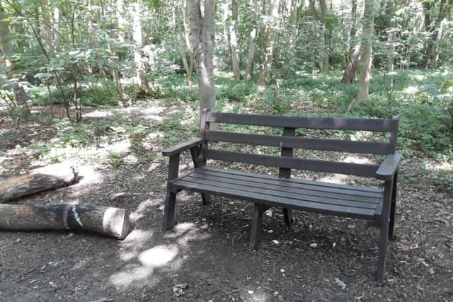 The abandoned bench in Sleaford Woods. EMN-190306-230536001