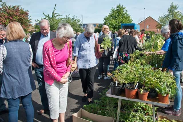 Plant sale at St Barnabas EMN-190530-140619001
