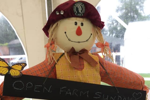 Open Farm Suinday