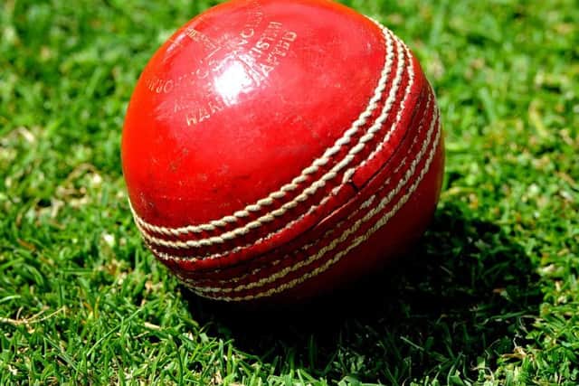 Cricket