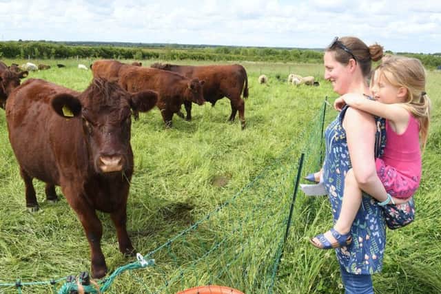The Inkpot Farm, Scredington. Katie Cotton and Madeleine Cotton 5 of Scredington. EMN-191006-111112001