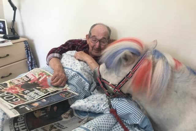 Bruno Platz meets Mimosa, who takes quite a liking to his newspaper featuring highlights of the 75th anniversary of D_Day.