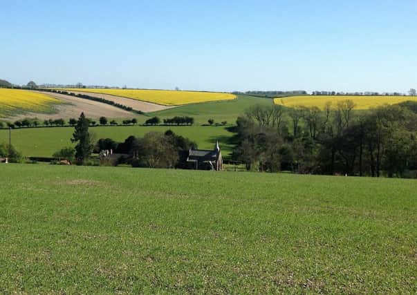 Oil seed rape above Thoresway Church makes a colourful sight in late Spring in the Wolds.