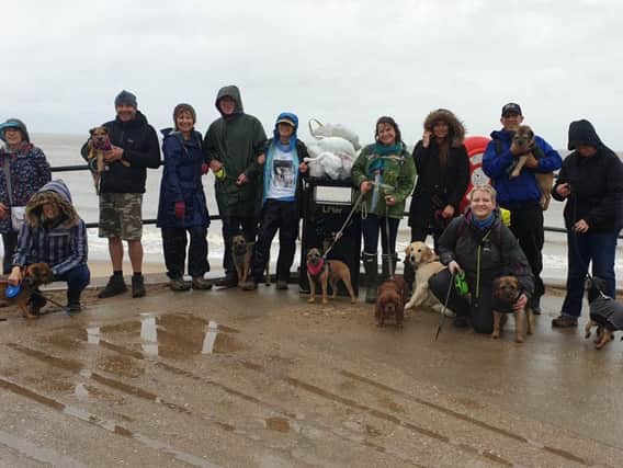 Members of #BTPosse - a group of Border Terrier owners and friends - had a Tweetup litter picking on Skegness beach.