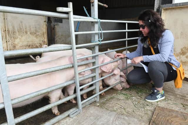 Lindsay Farrell of Tumby Woodside at Minting Park Farm, Gautby.