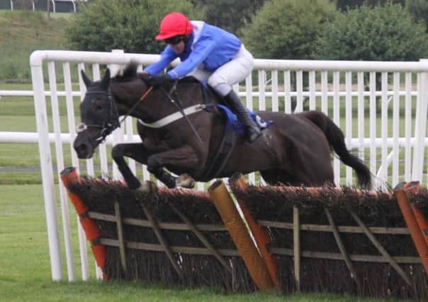 Fanzio on his way to winning the the Class 3 Handicap Hurdle with Paul OBrien on board. Picture: Peter Thompson EMN-191006-160608002