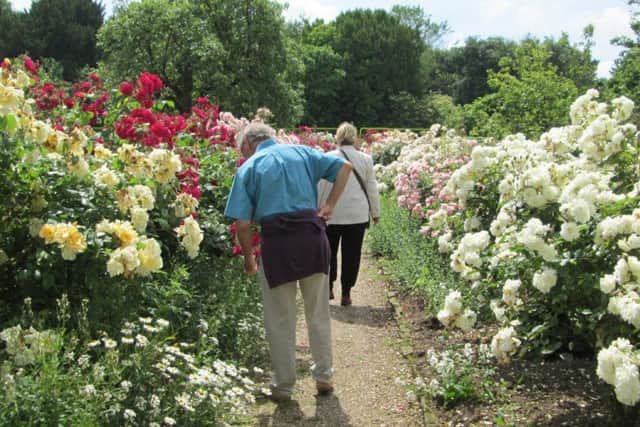 Enjoy Rose Day at Gunby Hall.