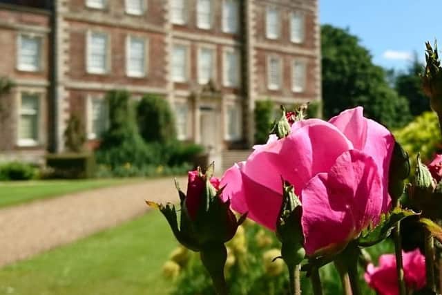More than 40 varities of roses will be on display at Gunby Hall's Rose Day this week.