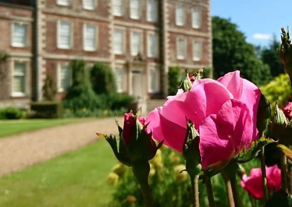 More than 40 varities of roses will be on display at Gunby Hall's Rose Day this week.