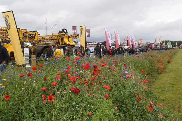Cereals 2019 at Boothby Graffoe. EMN-190613-092812001