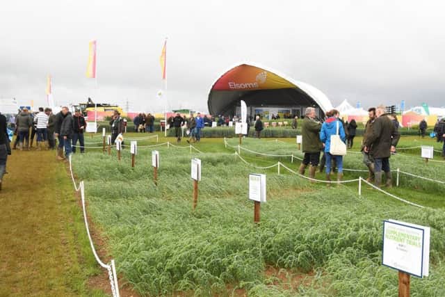 Cereals 2019 at Boothby Graffoe. EMN-190613-091504001