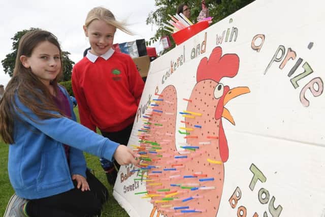 Chestnut Street Academy's summer fair. L-R Rhianna Kirkland 10 and Sydney Clapton 10. EMN-190617-105509001