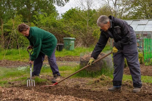 Allotments are in demand
