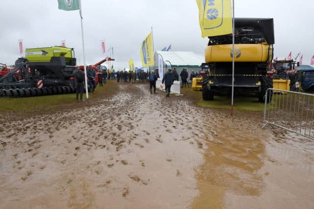 Cereals 2019 at Boothby Graffoe. EMN-190613-091415001 EMN-190613-091415001