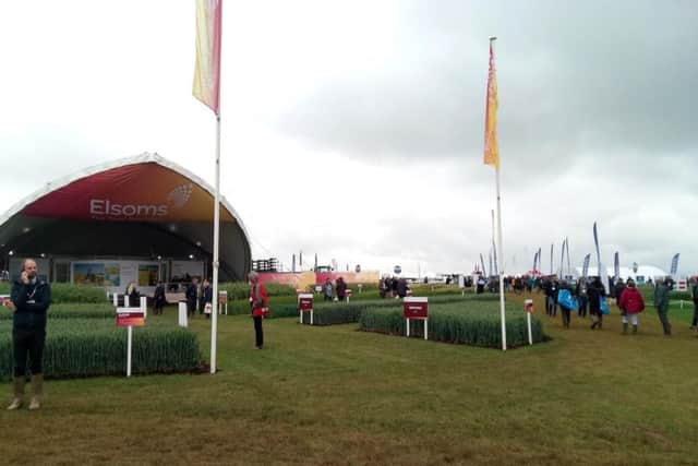 Impressive stands and crop displays from Lincolnshire-based seed companies at Cereals 2019 near Boothby Graffoe.