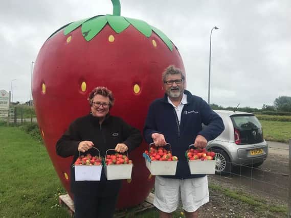 Visitors to the Chapel St Leonards area are always pleased to see the giant strawberry sign go out at the Farm Shop on the main coast road. Diane and Mick Clarke travelled all the way from Boston to pick 12 kilos to make jam.