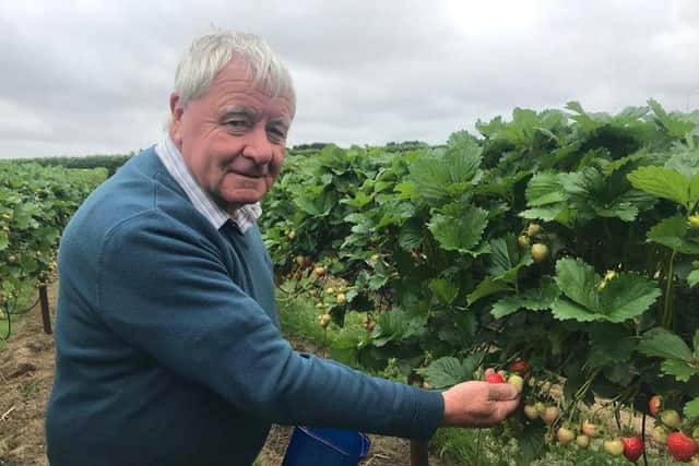 Anthony Pickering from Yorkshire stays at Huttoft in a motorhome and says he visits the Farm Shop 'no end' to pick strawberries.