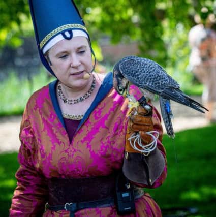 Tattershall Castle Falconry event EMN-190107-171544001