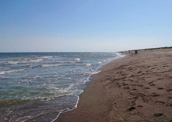 A species of shark has been found in abundance in the seas around Skegness. Pictured is Moggs Eye beach, Huttoft.