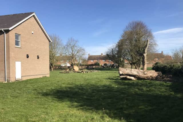 The scene after tree officers halted the removal of trees at Ruskington. EMN-190807-163100001
