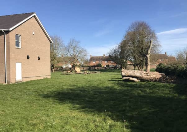 The scene after tree officers halted the removal of trees at Ruskington. EMN-190807-163100001