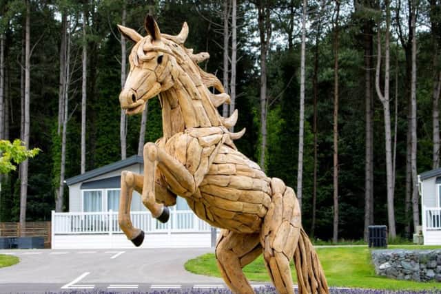 One of the horses at Lakeside Park.