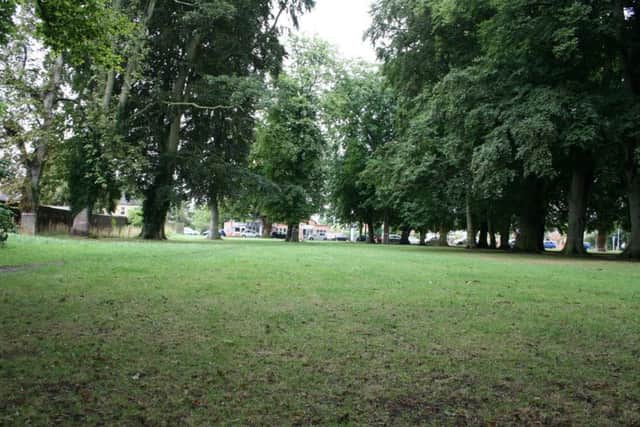 Woodland at Boston Road Recreation Ground, Sleaford. EMN-190507-124605001