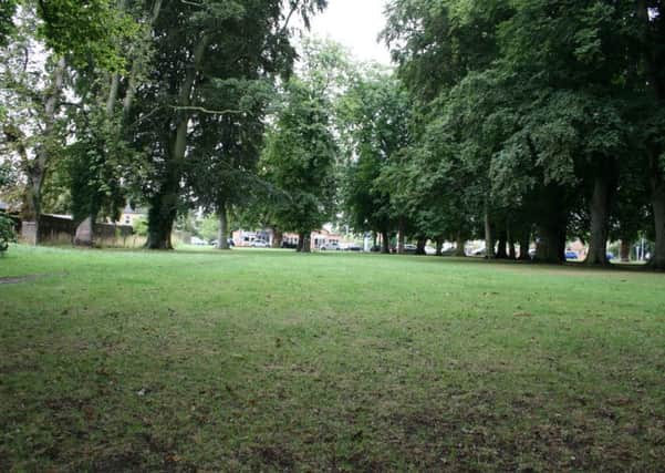 Woodland at Boston Road Recreation Ground, Sleaford. EMN-190507-124605001