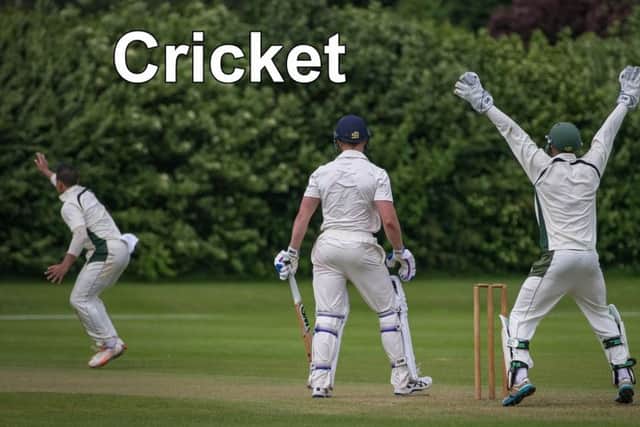 Cricket news.