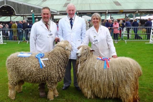 Risby Desert Lily took the breed chmpionship at the Great Yorkshire Show with Risby Bang On' standing reserve. EMN-190715-222705001