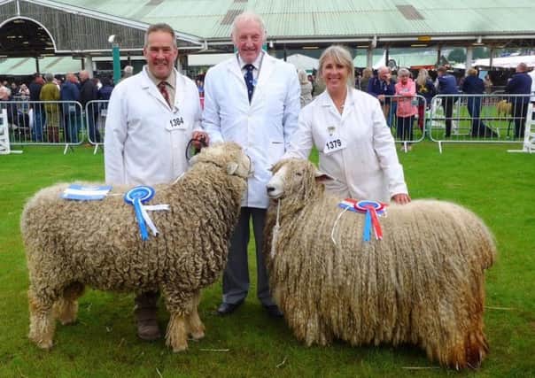 Risby Desert Lily took the breed chmpionship at the Great Yorkshire Show with Risby Bang On' standing reserve. EMN-190715-222705001