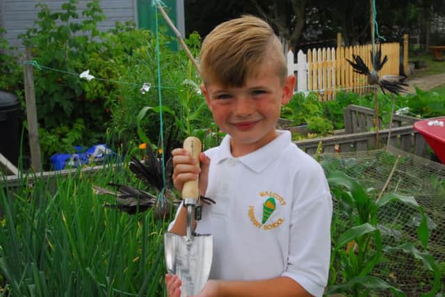 Ben Trofer-Cook, seven, of Walcott School with his RHS award. EMN-190715-160345001