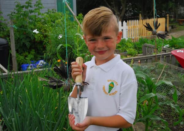 Ben Trofer-Cook, seven, of Walcott School with his RHS award. EMN-190715-160345001