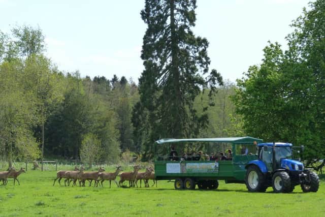 Enjoy a deer safari at the Stourton Estates open day EMN-190715-111640001