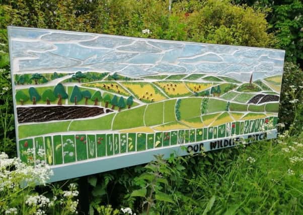 The Leasingham Community Mosaic. EMN-190716-145547001