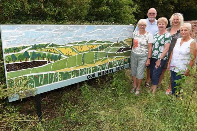 Official opening of a ceramic mosaic at Leasingham Village Hall. L-R Ann Buttery, Neill Murray who installed the mosaic, Joan Newton, Marion Sander - programme manager for NCCD/ArtsNK, Vanessa Major. EMN-190730-103047001