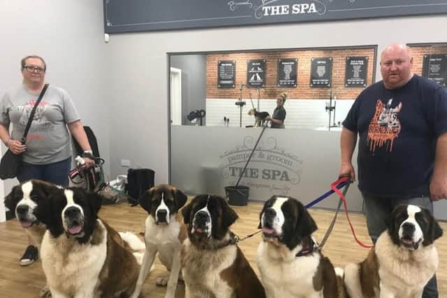 Six St Bernard dogs from Skegness joined Jollyes for their grand opening.