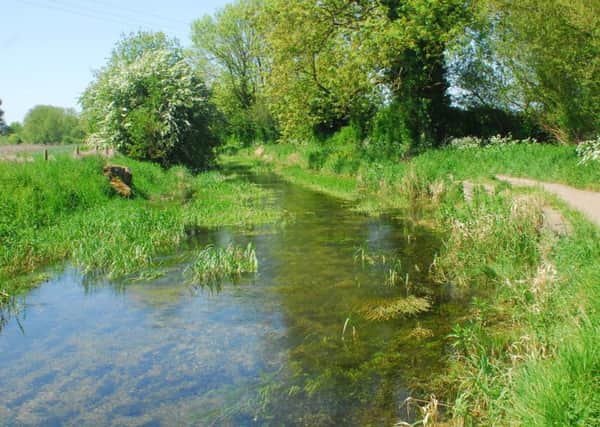 The Rauceby Banks section of the River Slea, which is in line for enhancement by the new funding. EMN-190208-142817001
