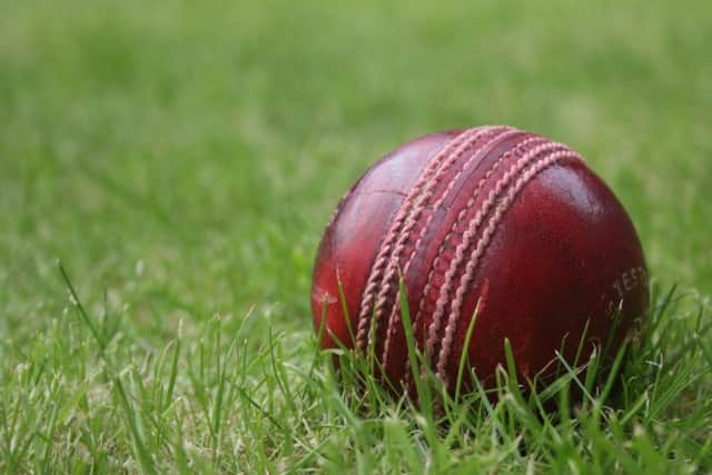 Cricket