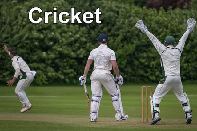 Cricket.