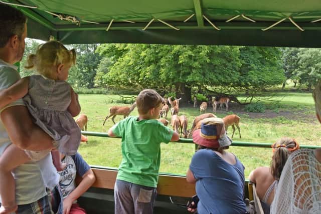 Deer safaris will be part of the day
Photo by John Edwards EMN-190209-084507001