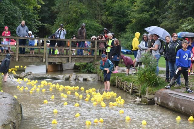 Louth Duck Race hosted by Louth Lions.