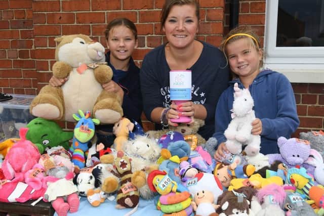 Charity fun day at Red Lion, Ruskington, for Hollies Animal Rehoming Trust. L-R Lottie Riley 10, Aggy Riley, Matilda Riley 7 running a Teddy Bear Tombola. EMN-190209-103248001