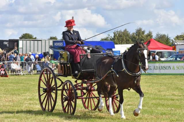 The carriage driving entries were all emaculate in presentation
Photo by John Edwards EMN-190109-215644001