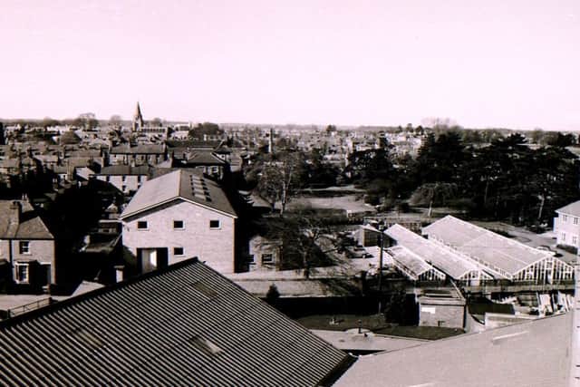 The view over Sharpes Seeds' warehouse complex off Southgate in 1966. EMN-190309-151126001