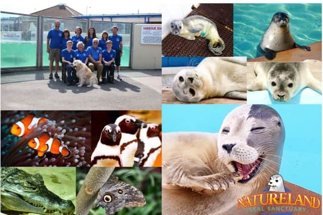 Skegness Natureland Seal Sanctuary.